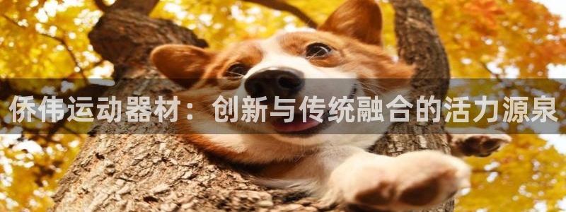 三亿体育官网下载招商电话地址是多少：侨伟运动器材：创新与传统