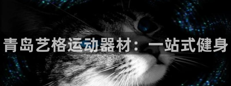 三亿体育官方正版app娱乐平台：青岛艺格运动器材：一站式健身