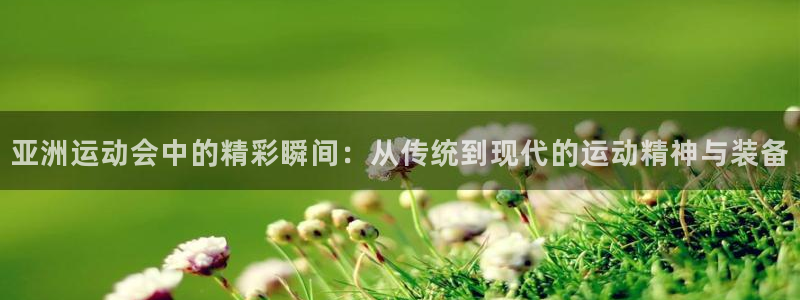 三亿体育官网下载平台注册要钱吗安全吗：亚洲运动会中的