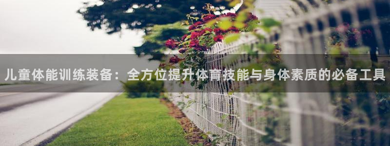 三亿体育官网下载平台注册流程图：儿童体能训练装备：全