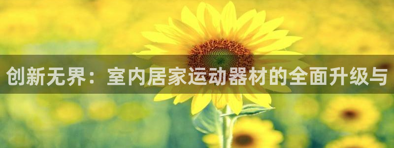 三亿体育官方正版app开户：创新无界：室内居家运动器材的全面