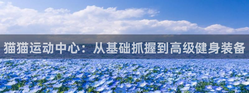 三亿体育官方正版app集团简介：猫猫运动中心：从基础抓握到高