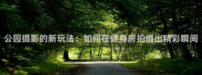 三亿体育官方正版app娱乐40996：公园摄影的新玩法：如何