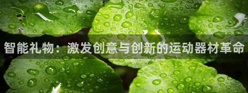 三亿体育官方正版app娱乐是那个系列的台子：智能礼物：激发创
