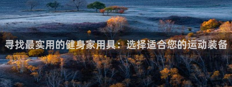 三亿体育官方正版app集团：寻找最实用的健身家用具：选择适合