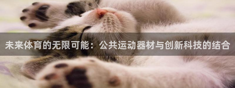 三亿体育官网下载招商电话：未来体育的无限可能：公共运