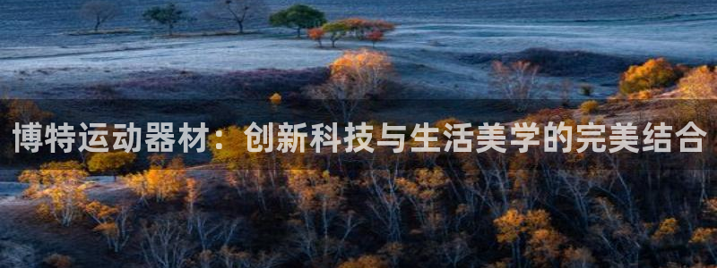 三亿体育官方正版app集团E.ON：博特运动器材：创