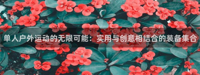 三亿体育官方正版app娱乐首页网站大全：单人户外运动