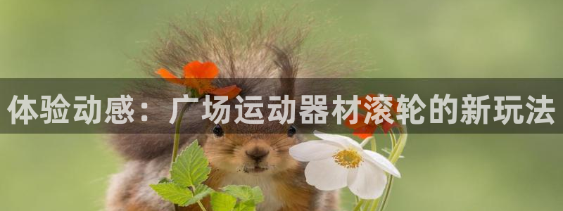 三亿体育官方正版app官方：体验动感：广场运动器材滚