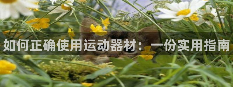 三亿体育官网下载开户：如何正确使用运动器材：一份实用