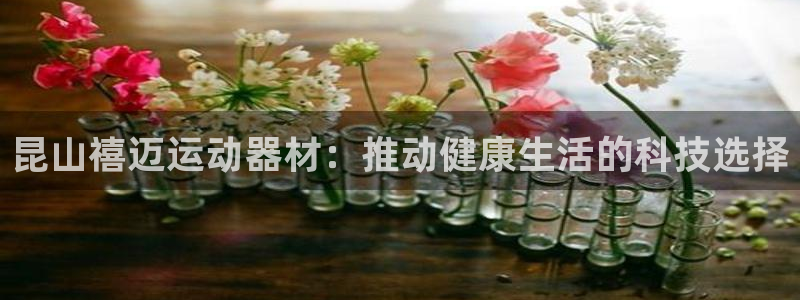 三亿体育官网下载招商电话地址：昆山禧迈运动器材：推动健康生活