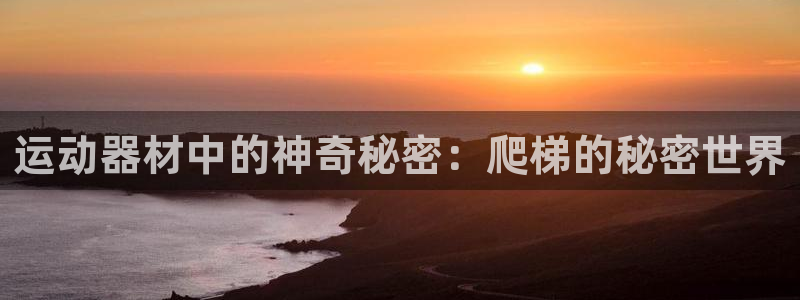 三亿官方集团官网：运动器材中的神奇秘密：爬梯的秘密世