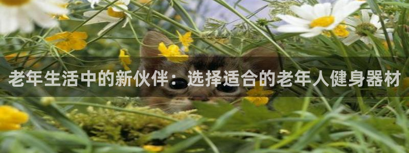三亿体育官方正版app娱乐首页官网下载：老年生活中的