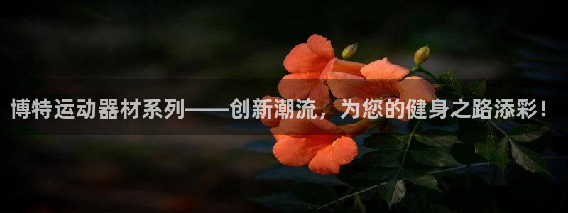 三亿体育官方正版app开户：博特运动器材系列——创新潮流，为