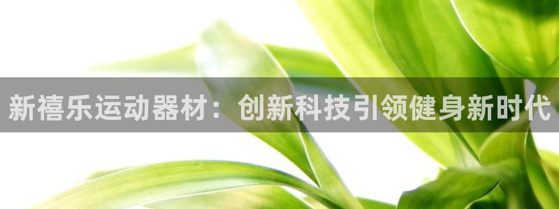 三亿体育官方正版app神州：新禧乐运动器材：创新科技