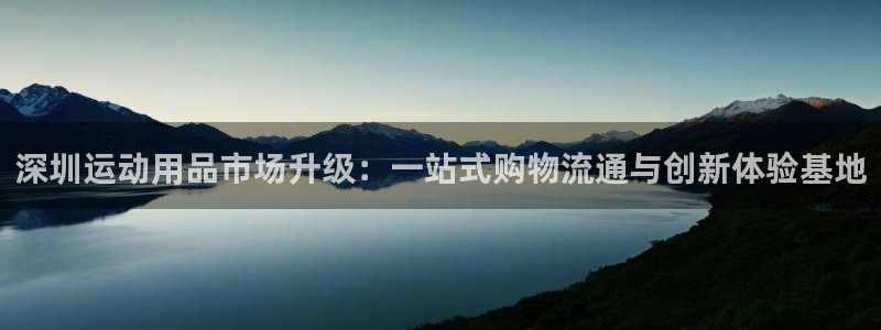 三亿体育官方正版app集团E.ON