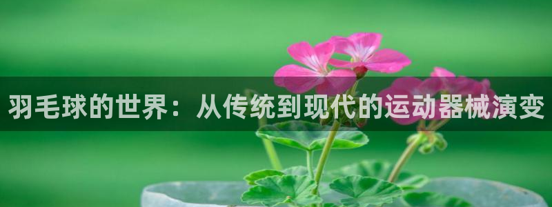 三亿体育官网下载：羽毛球的世界：从传统到现代的运动器械演变