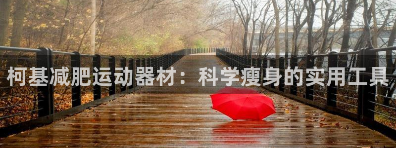 三亿官方集团官网：柯基减肥运动器材：科学瘦身的实用工具