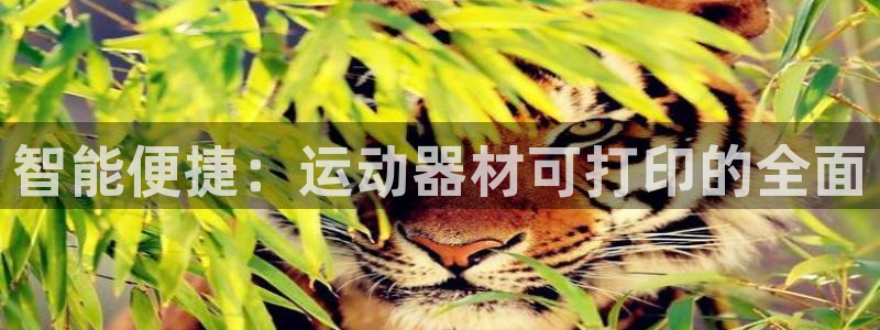三亿官方集团官网：智能便捷：运动器材可打印的全面