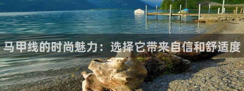 三亿体育官网下载软件：马甲线的时尚魅力：选择它带来自信和舒适