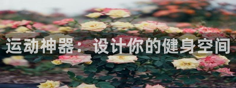 三亿体育官网下载平台假的吗是真的吗吗：运动神器：设计你的健身