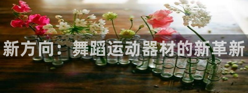 三亿体育官方正版app集团E.ON：新方向：舞蹈运动