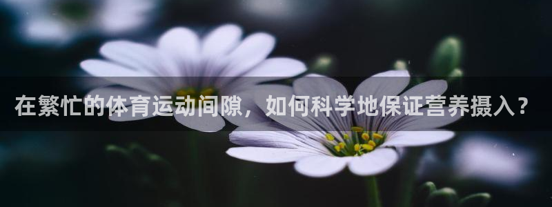 球王会体育