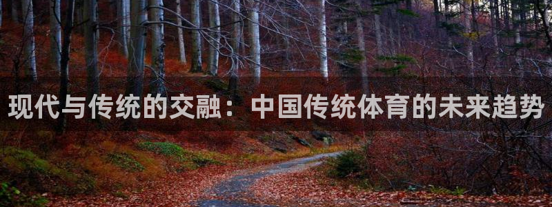 球王会体育