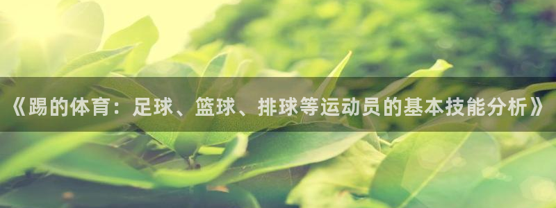 球王会体育